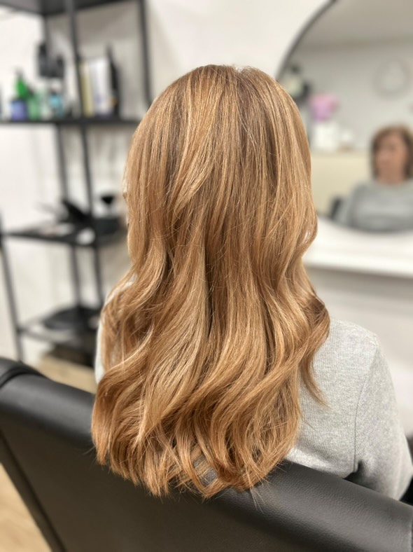 476185812_1177581420549706_6972888491831809927_n