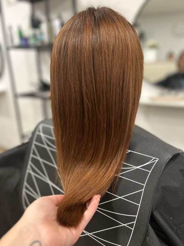 476399901_1286679465889313_1315620092548930435_n